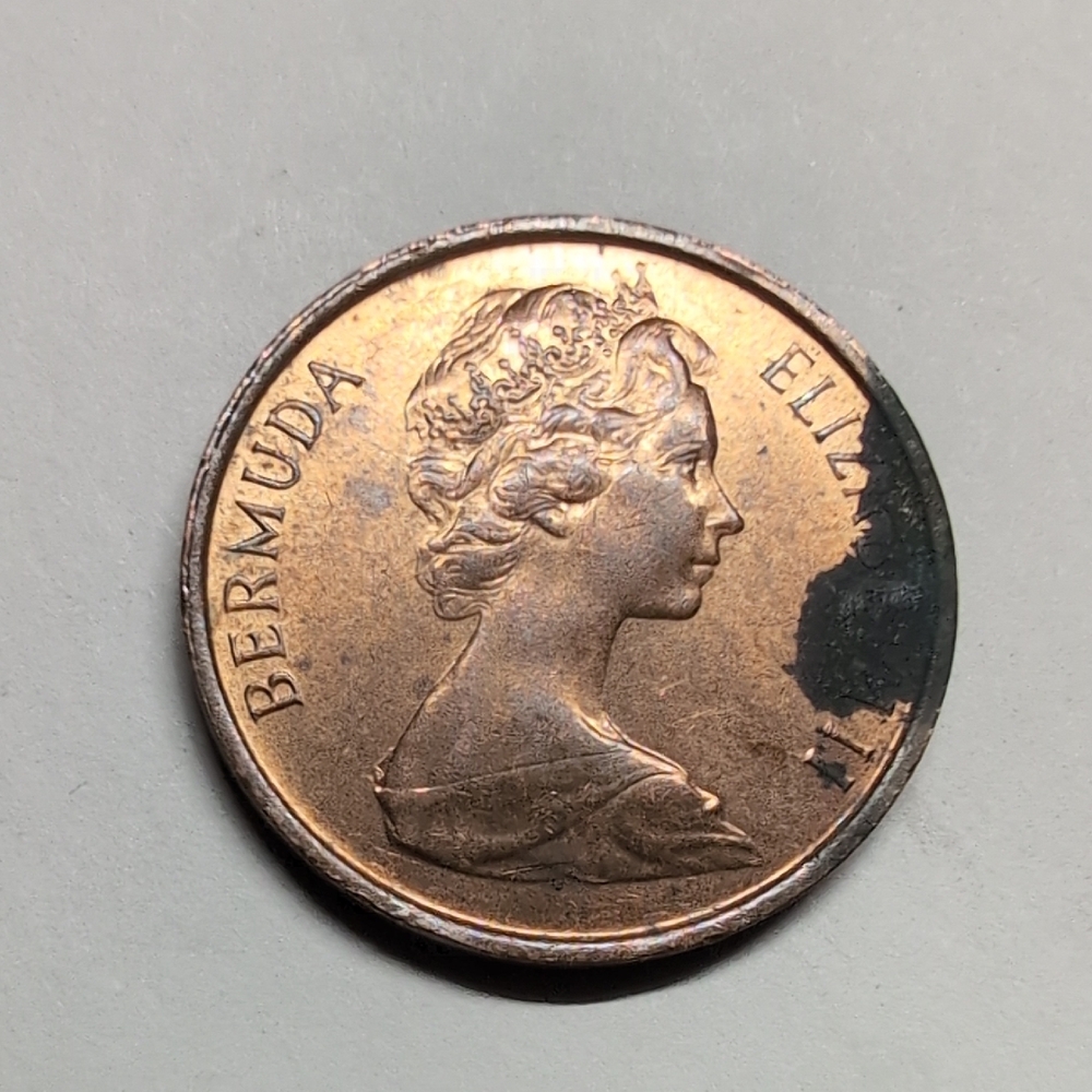 Bermuda 1981 1 Cent Wild Boar Coin Vintage